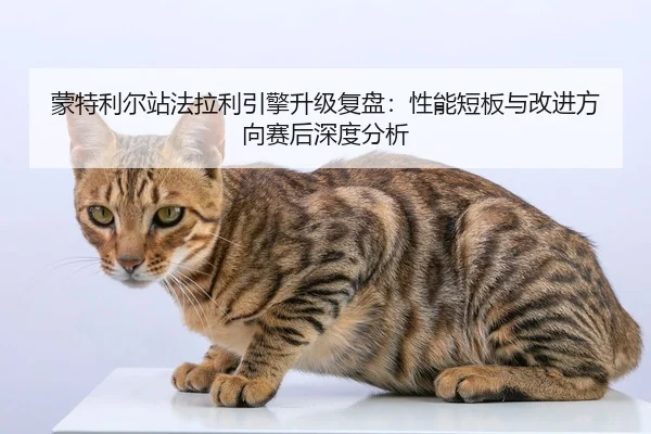 meng-te-li-er-zhan-fa-la-li-yin-qing-sheng-ji-fu-pan-xing-neng-duan-ban-yu-gai-jin-fang-xiang-sai-hou-shen-du-fen-xi-2-240.jpg